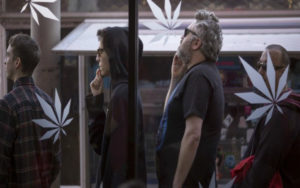 大麻股