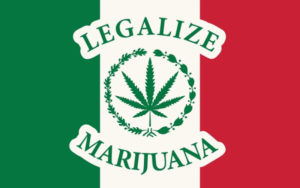 大麻股