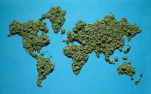 大麻