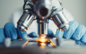 为什么这支医药股Matinas BioPharma 股价上涨了近28%？