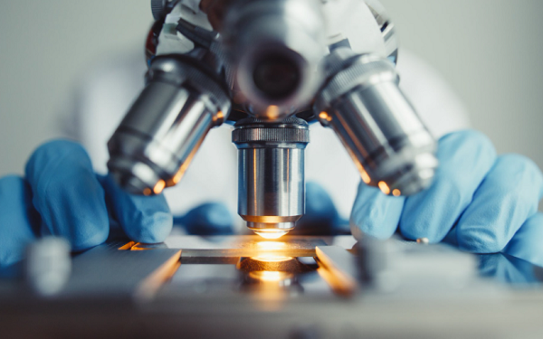 为什么这支医药股Matinas BioPharma 股价上涨了近28%？