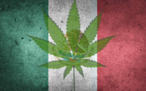 大麻合法化