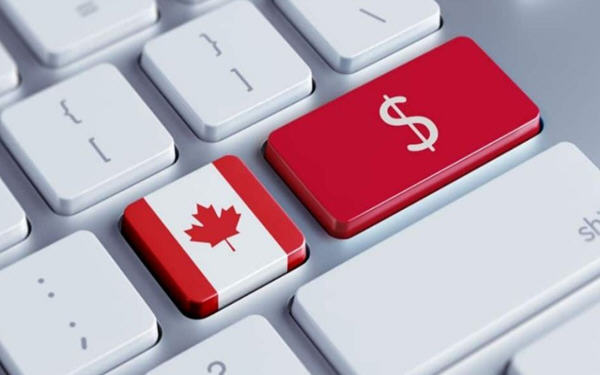 TSX这三家上市公司刚刚在这个财报季崭露头角