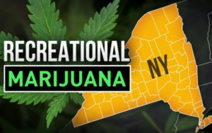 娱乐大麻合法化
