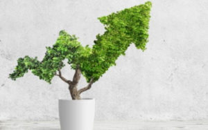 TSX这两只宝藏股票将在下一次股市大涨中为投资者带来超级收益