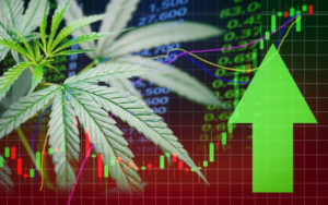 大麻股