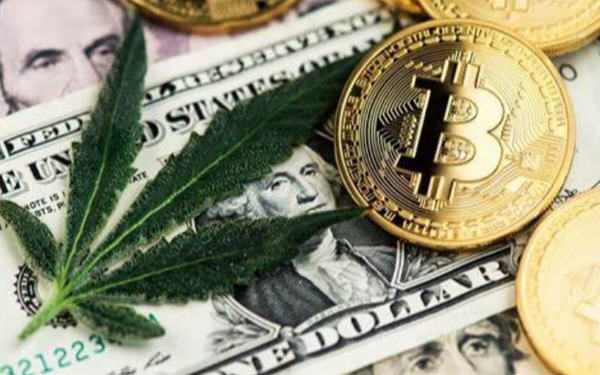 大麻行业的金融需求