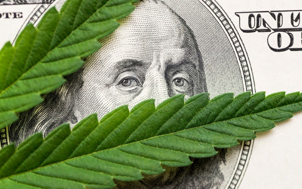 美国大麻股