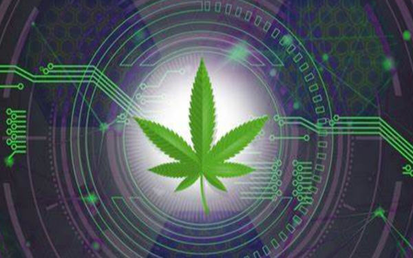 加密货币和大麻