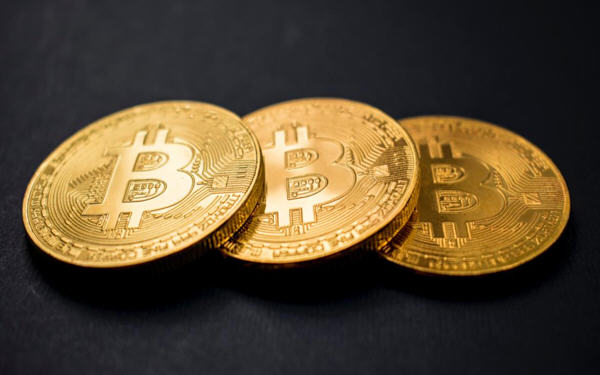 木头姐增持Coinbase