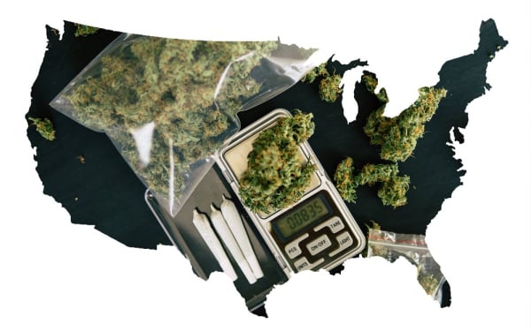 美国大麻
