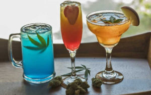 大麻浸泡饮料