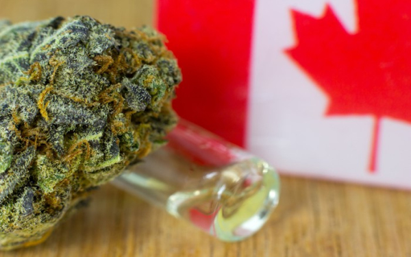 加拿大大麻股