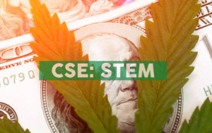 Driven by Stem