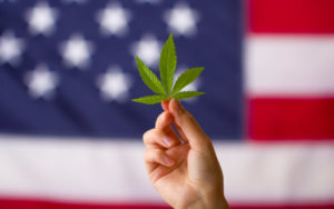 大麻股