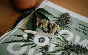 大麻和CBD广告
