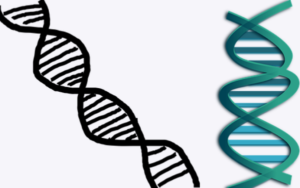 新加坡百吉生物获得中国5亿元人民币的投资