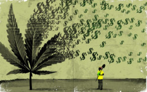 2025年大麻ETF投资全解析：六大领先基金深度透视