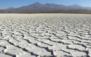 Lithium Americas收购Millennial