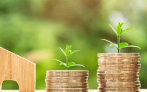 这种代币在2021年涨幅超过3000%，2022年会有怎样表现？