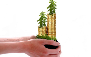 跌幅超过90%，这些成长股还有希望吗？