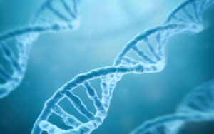 潜力无限！2023年一定要看看这些生物科技股