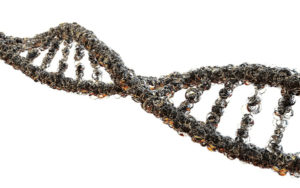 基因编辑股票CRISPR Therapeutics