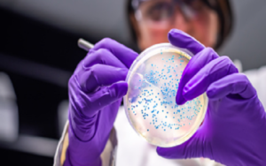 生物科技股已经存在风险，今年将面临几大不利因素