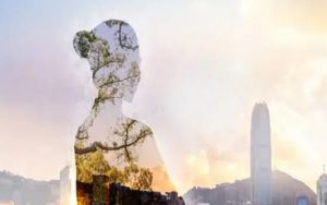 摩根大通策略师预计2024年将迎来重大信贷“清算”