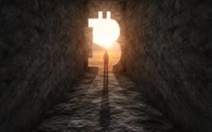最大代币价格徘徊不前，加密股票周五触及52周新高