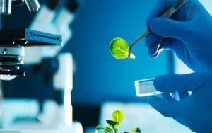 生物科技行业中不受欢迎的两只股票，可能会成为明天的赢家