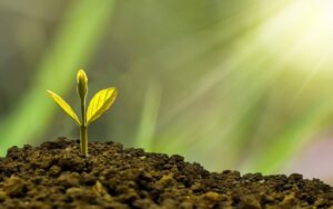 分析：CRISPR Therapeutics股票可能会让您的资金翻倍