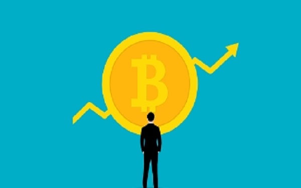 如果只能买一支股票，那么这只股票是首选