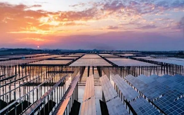 核能需求激增，Centrus Energy股价大涨