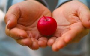 美国拟将减肥药纳入医保，礼来与诺和诺德股价应声上涨