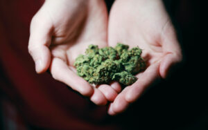 这只加拿大大麻股，献给有耐心的投资者