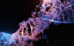 获多个机构看好，CRISPR Therapeutics以多元管线引领基因编辑疗法