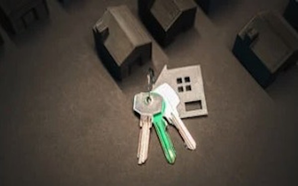 从AI金融到智能医疗：揭秘木头姐当前最看好的三个方向