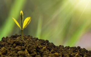 逢低布局科技板块：Invesco QQQ Trust ETF投资价值分析
