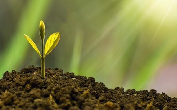 Analytics Insight: Latest AI, Crypto, Tech News & Analysis