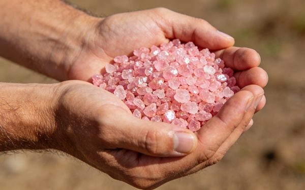 Nutrien Faces DOJ Probe: Is the Fertilizer Giant Still a Buy After the Selloff?